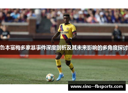 鲁本塞梅多家暴事件深度剖析及其未来影响的多角度探讨