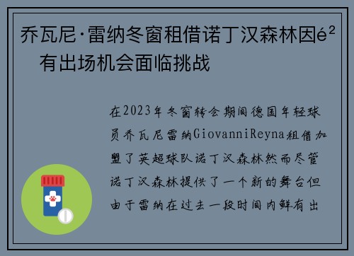 乔瓦尼·雷纳冬窗租借诺丁汉森林因鲜有出场机会面临挑战